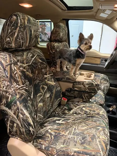 safety-and-seat-covers-ensure-compatibility.jpg